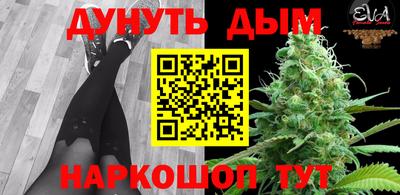 индика Кимры